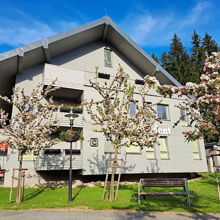 Resident Harrachov Family Apartment المظهر الخارجي الصورة