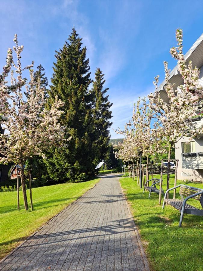 Resident Harrachov Family Apartment المظهر الخارجي الصورة